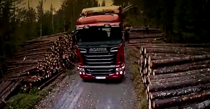 лесовозы Скания